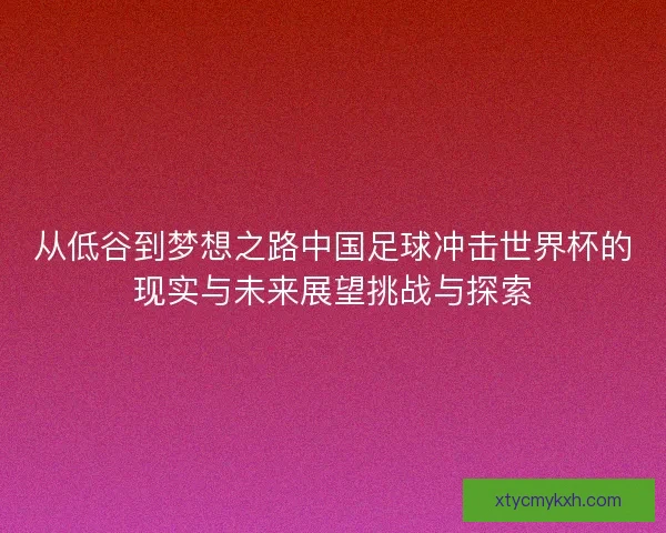 从低谷到梦想之路中国足球冲击世界杯的现实与未来展望挑战与探索